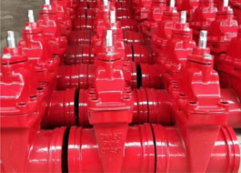 Chinese Professional Catalyst Supplier